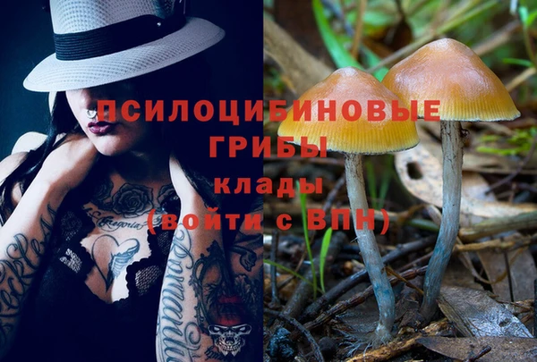 гашик Алексеевка