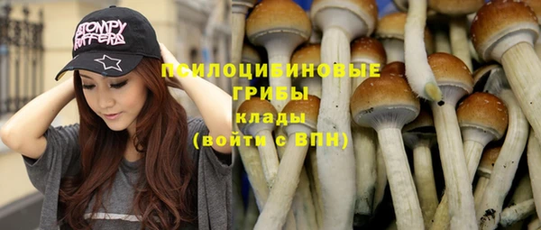 a pvp Алзамай