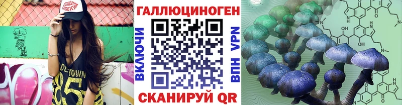 Галлюциногенные грибы Psilocybine cubensis  Миасс 