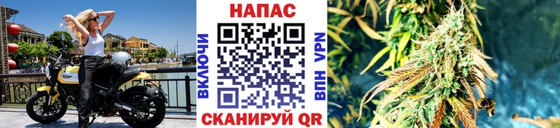 цена   Миасс  Бошки марихуана Bruce Banner 
